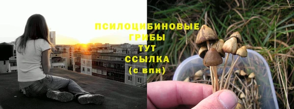 Альфа ПВП Михайлов